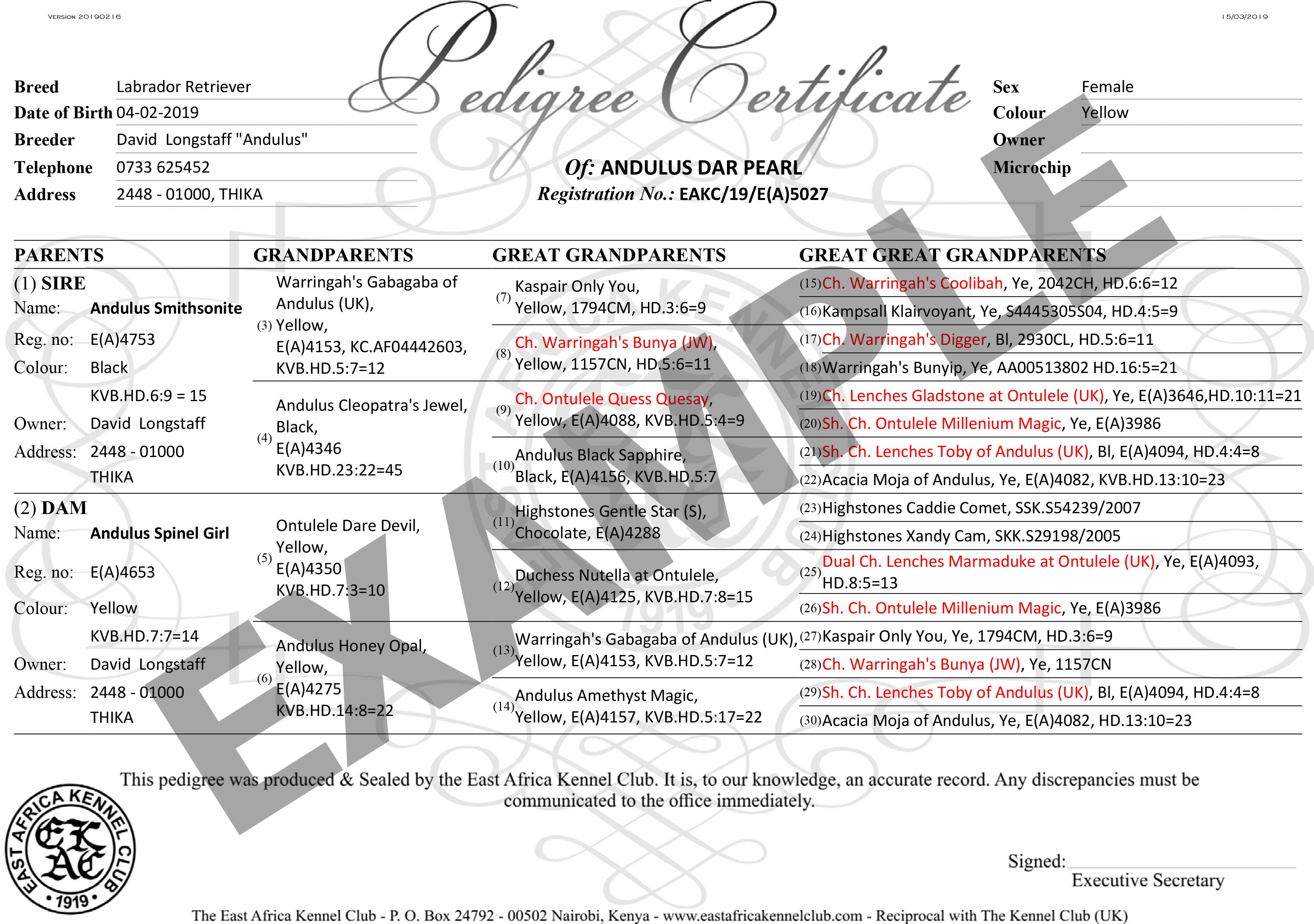 Kennel club pedigree checker deals