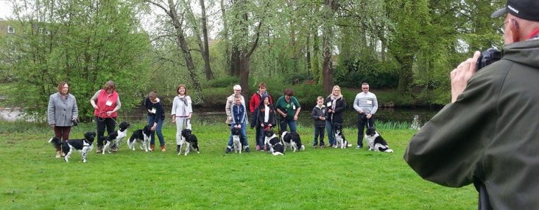 Breeders Day Stabij and Wetterhounen