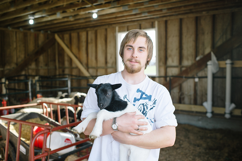 Breeding of goats