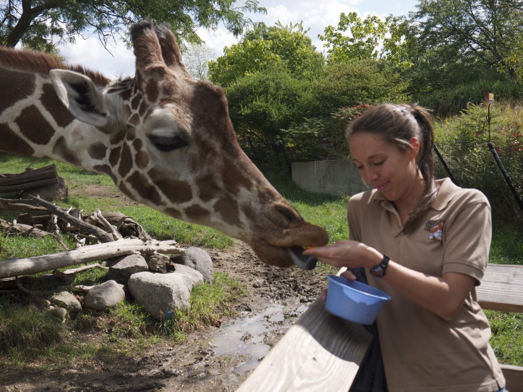 Zoo software ZooEasy