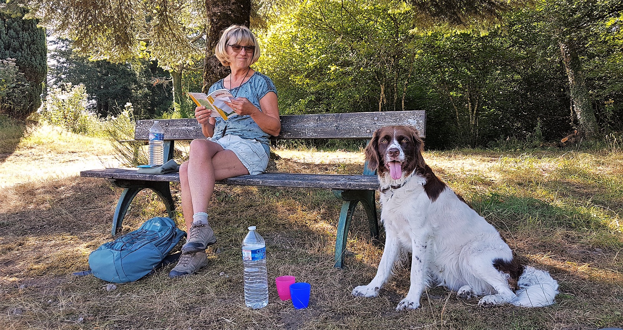 Drentsche Partridge Dog Association