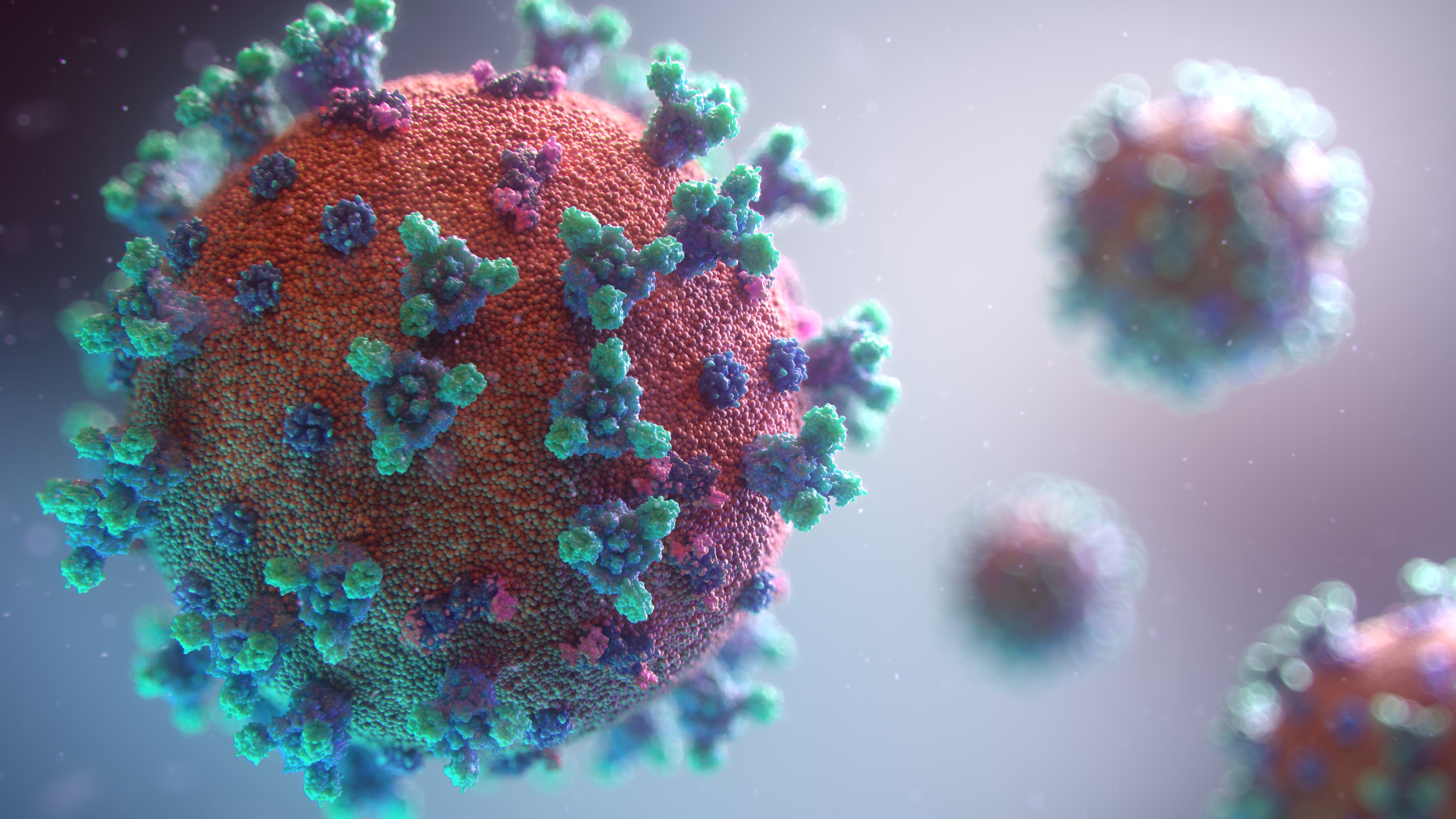 Measures surrounding the coronavirus