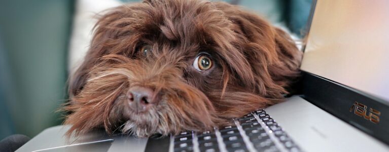 Improving our infrastructure